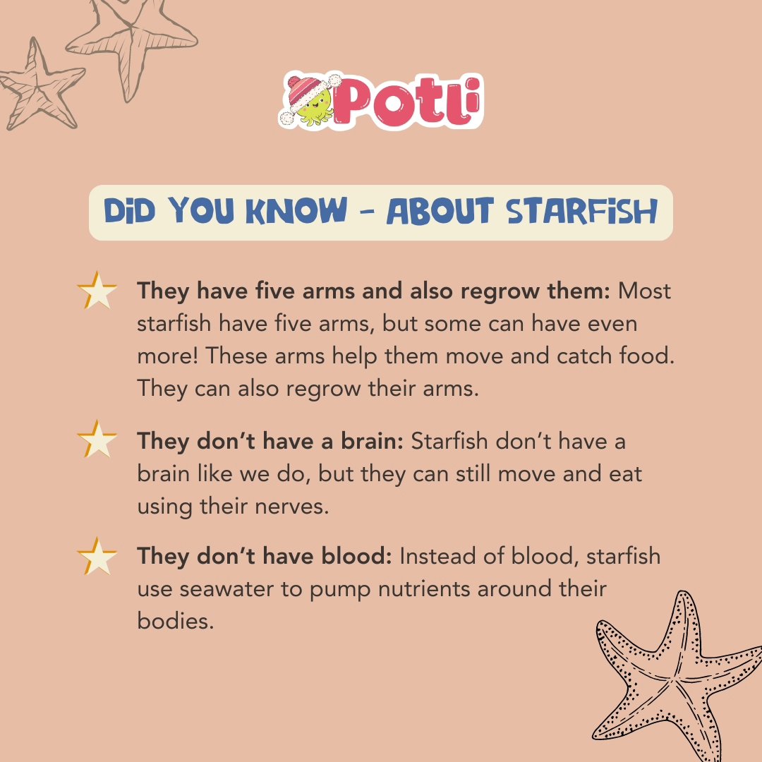 Potli the Octopus social media post